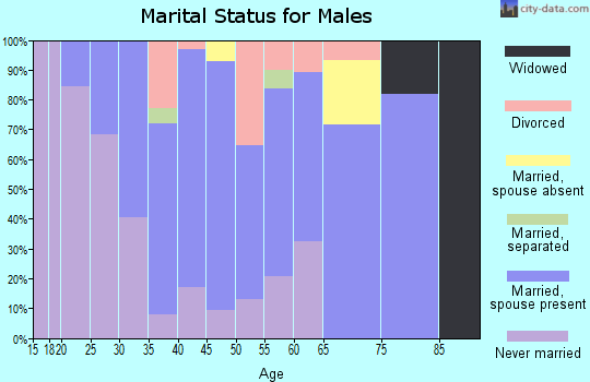 Zip code 95236 marital status for males