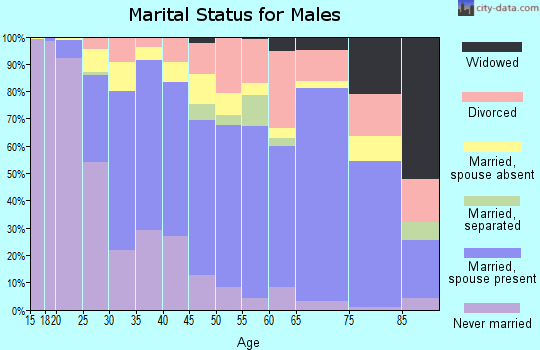 Zip code 95240 marital status for males