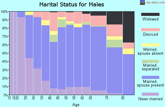 Zip code 95242 marital status for males