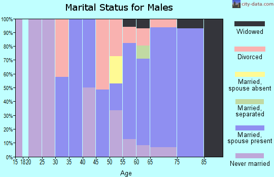 Zip code 95245 marital status for males