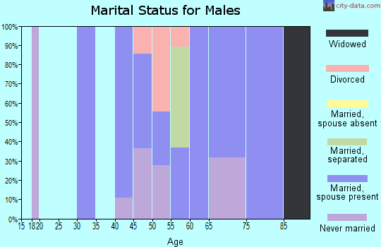 Zip code 95246 marital status for males