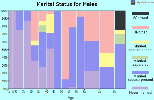 Zip code 95249 marital status for males