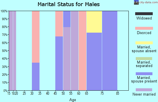 Zip code 95251 marital status for males