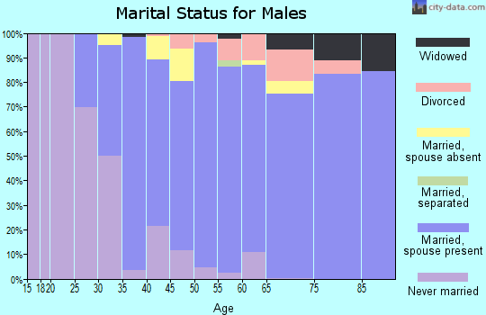 Zip code 95252 marital status for males