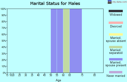 Zip code 95254 marital status for males