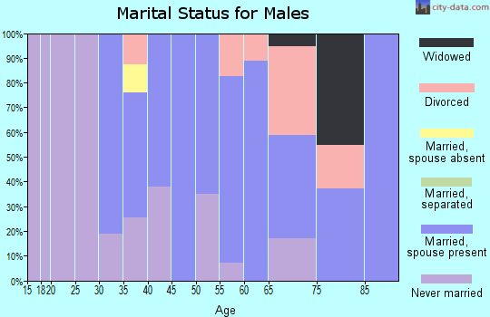 Zip code 95255 marital status for males