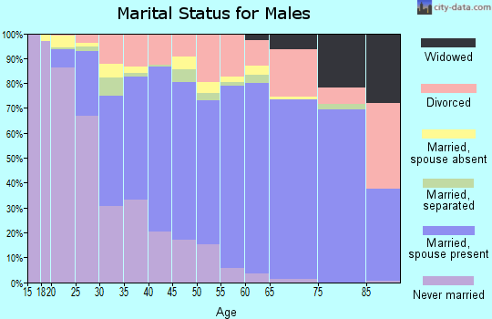 Zip code 95301 marital status for males