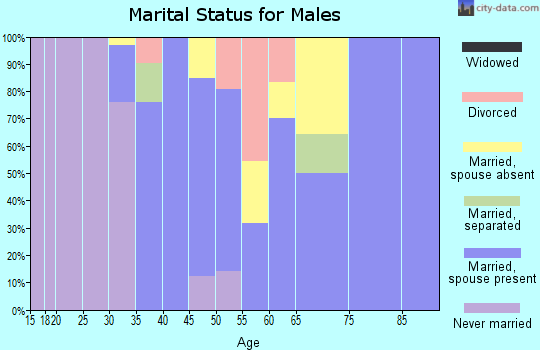 Zip code 95303 marital status for males