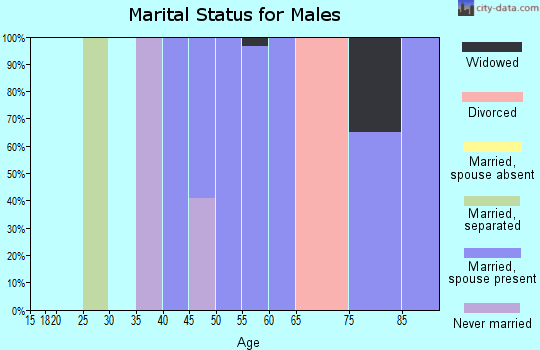 Zip code 95306 marital status for males