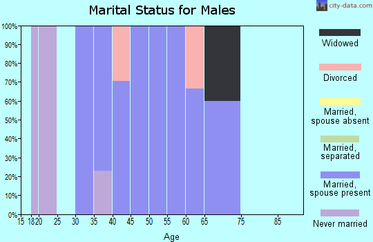 Zip code 95312 marital status for males