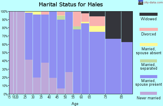 Zip code 95316 marital status for males
