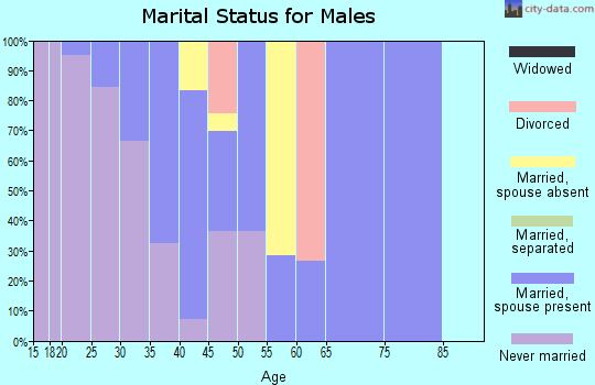 Zip code 95317 marital status for males