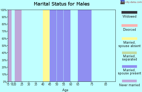 Zip code 95318 marital status for males