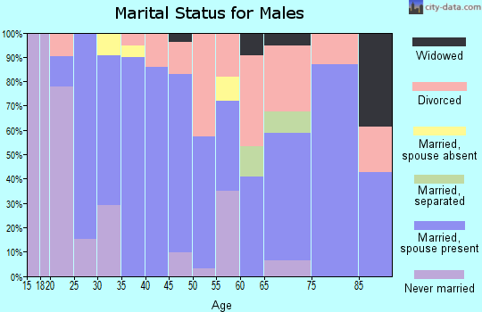 Zip code 95322 marital status for males