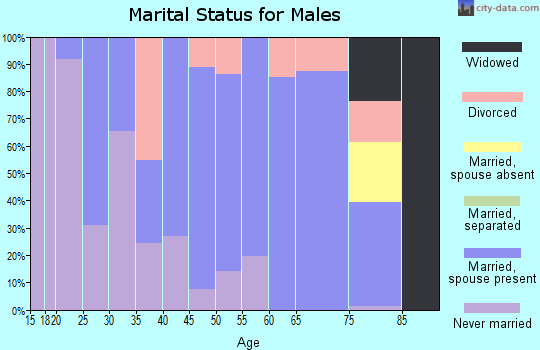 Zip code 95324 marital status for males