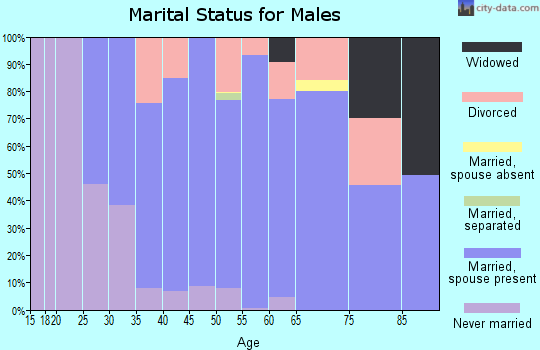 Zip code 95326 marital status for males