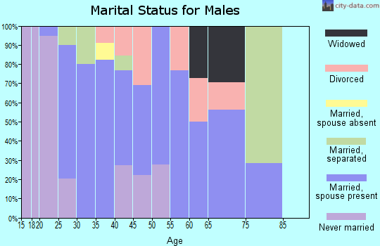 Zip code 95328 marital status for males