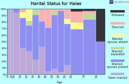 Zip code 95333 marital status for males