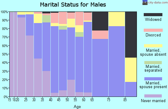 Zip code 95334 marital status for males