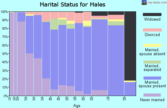 Zip code 95337 marital status for males