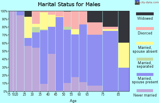 Zip code 95338 marital status for males