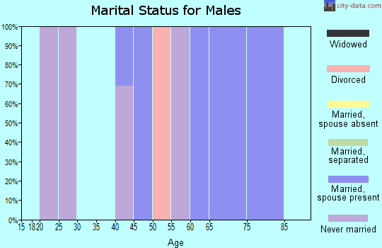 Zip code 95346 marital status for males