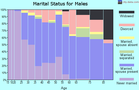 Zip code 95348 marital status for males