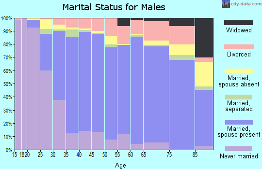 Zip code 95355 marital status for males