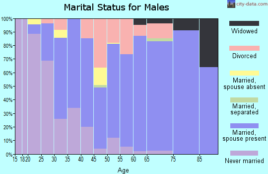 Zip code 95357 marital status for males