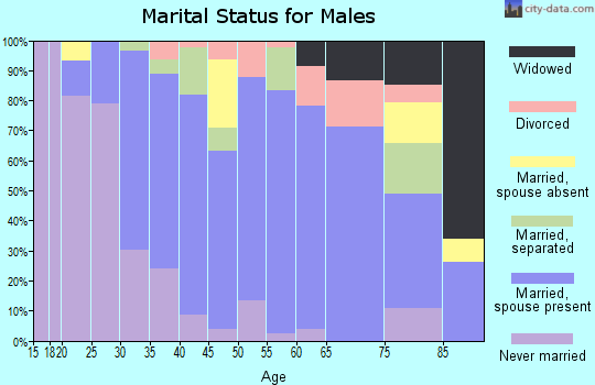 Zip code 95360 marital status for males