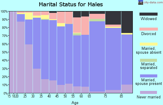 Zip code 95361 marital status for males