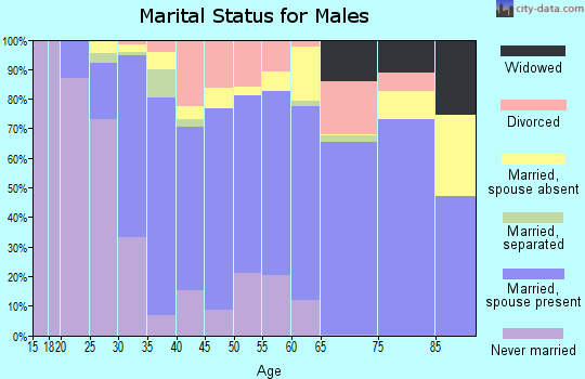 Zip code 95363 marital status for males