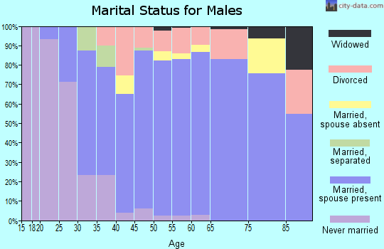 Zip code 95366 marital status for males