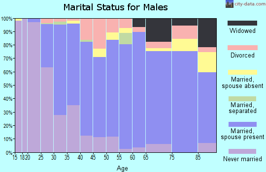 Zip code 95367 marital status for males