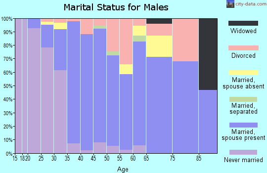 Zip code 95368 marital status for males