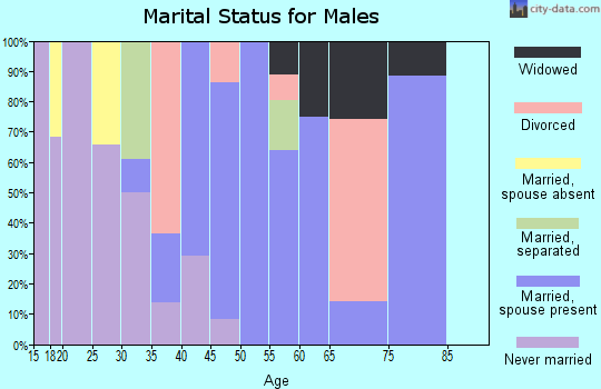 Zip code 95369 marital status for males