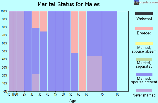Zip code 95372 marital status for males