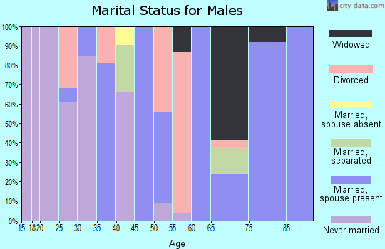 Zip code 95374 marital status for males