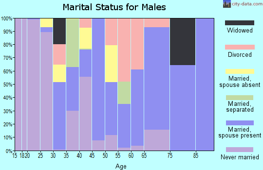 Zip code 95379 marital status for males