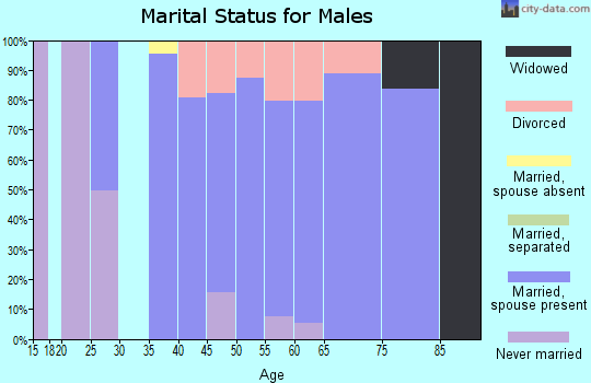 Zip code 95383 marital status for males