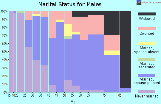 Zip code 95386 marital status for males
