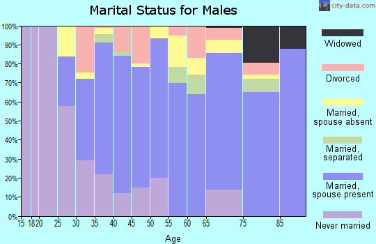 Zip code 95388 marital status for males