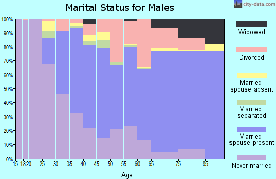 Zip code 95404 marital status for males