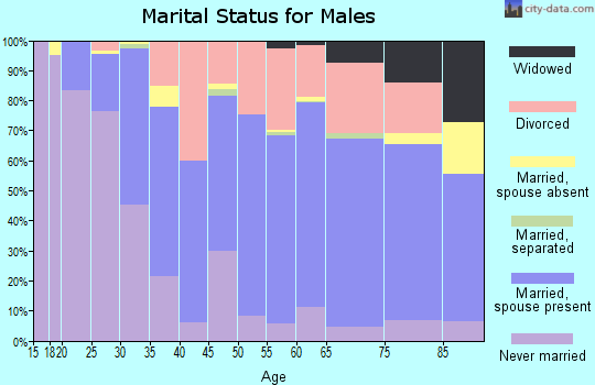 Zip code 95405 marital status for males