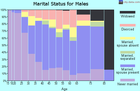 Zip code 95407 marital status for males