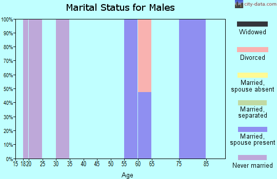 Zip code 95417 marital status for males