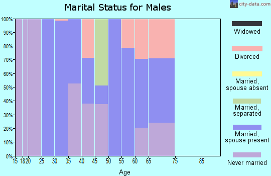 Zip code 95426 marital status for males