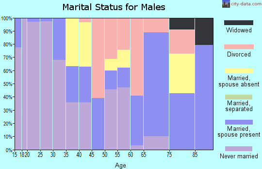 Zip code 95428 marital status for males