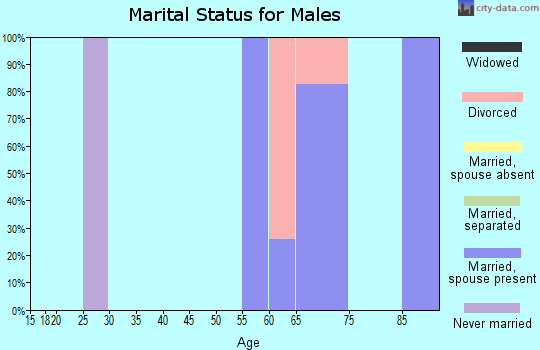 Zip code 95432 marital status for males
