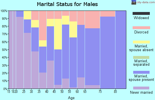 Zip code 95441 marital status for males